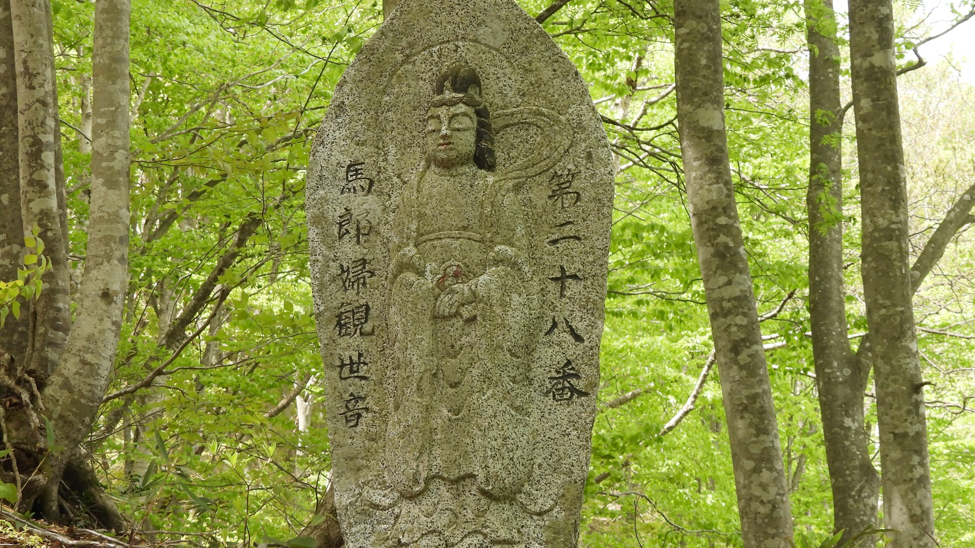 *周辺観光/玉泉寺