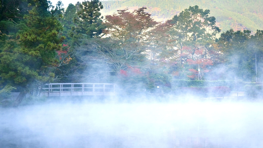 ・朝霧が舞う金鱗湖