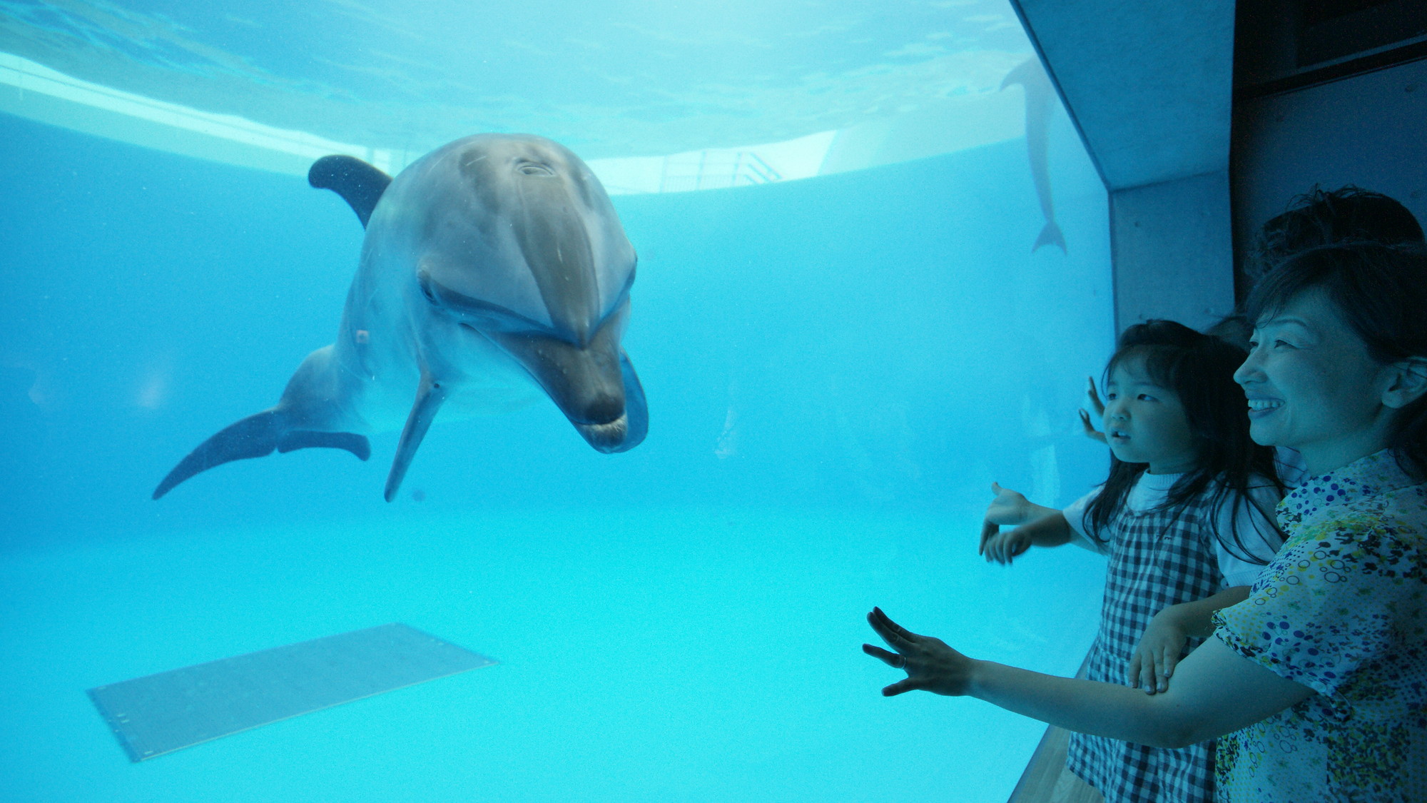 九十九島水族館「海きらら」九十九島の海を再現した地域密着型の水族館です♪当館から車で約50分