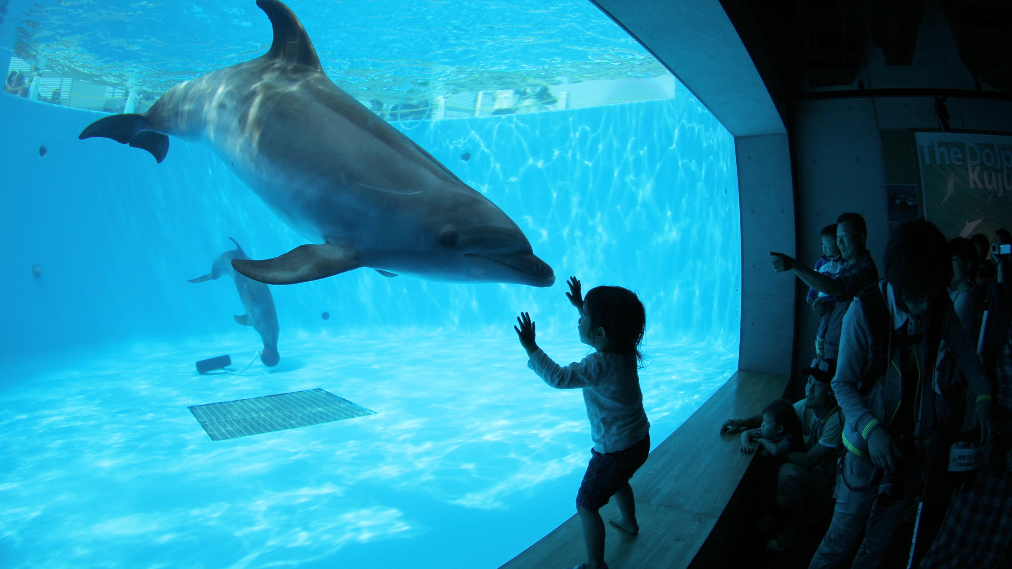 九十九島水族館「海きらら」九十九島の海を再現した地域密着型の水族館です♪当館から車で約50分