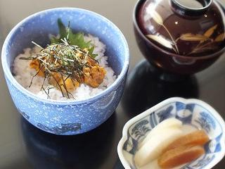 ミニうに丼