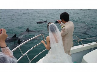 イルカと花嫁さん♪