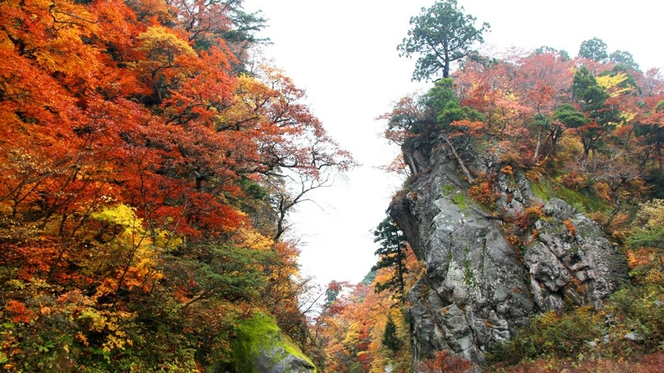 【1泊3食付】直接『大山さん』にパワーをいただく◎大山登山プラン！≪精進弁当付き≫