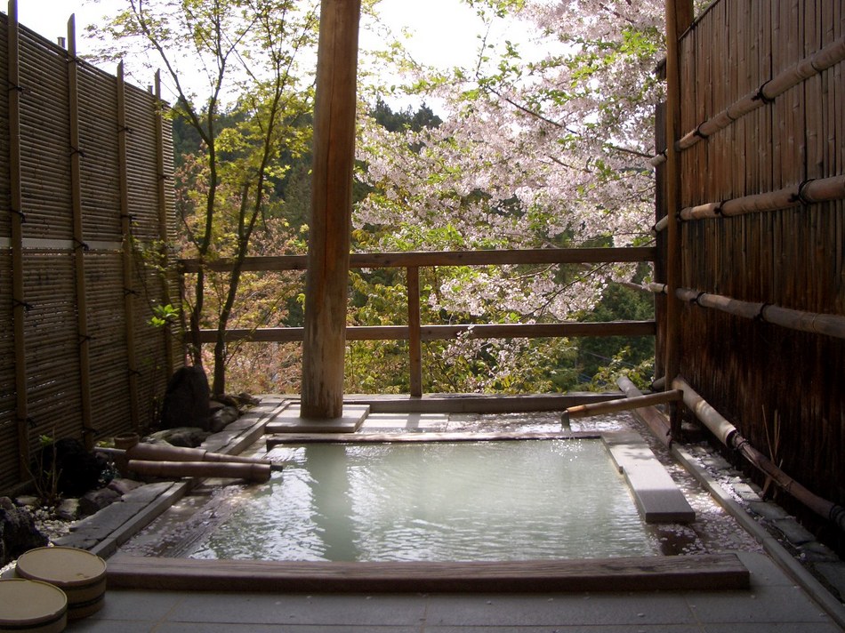[栃木県民限定]　栃木県にこんな秘湯あったんだ！ふらっとにごり湯、癒し旅プラン！！