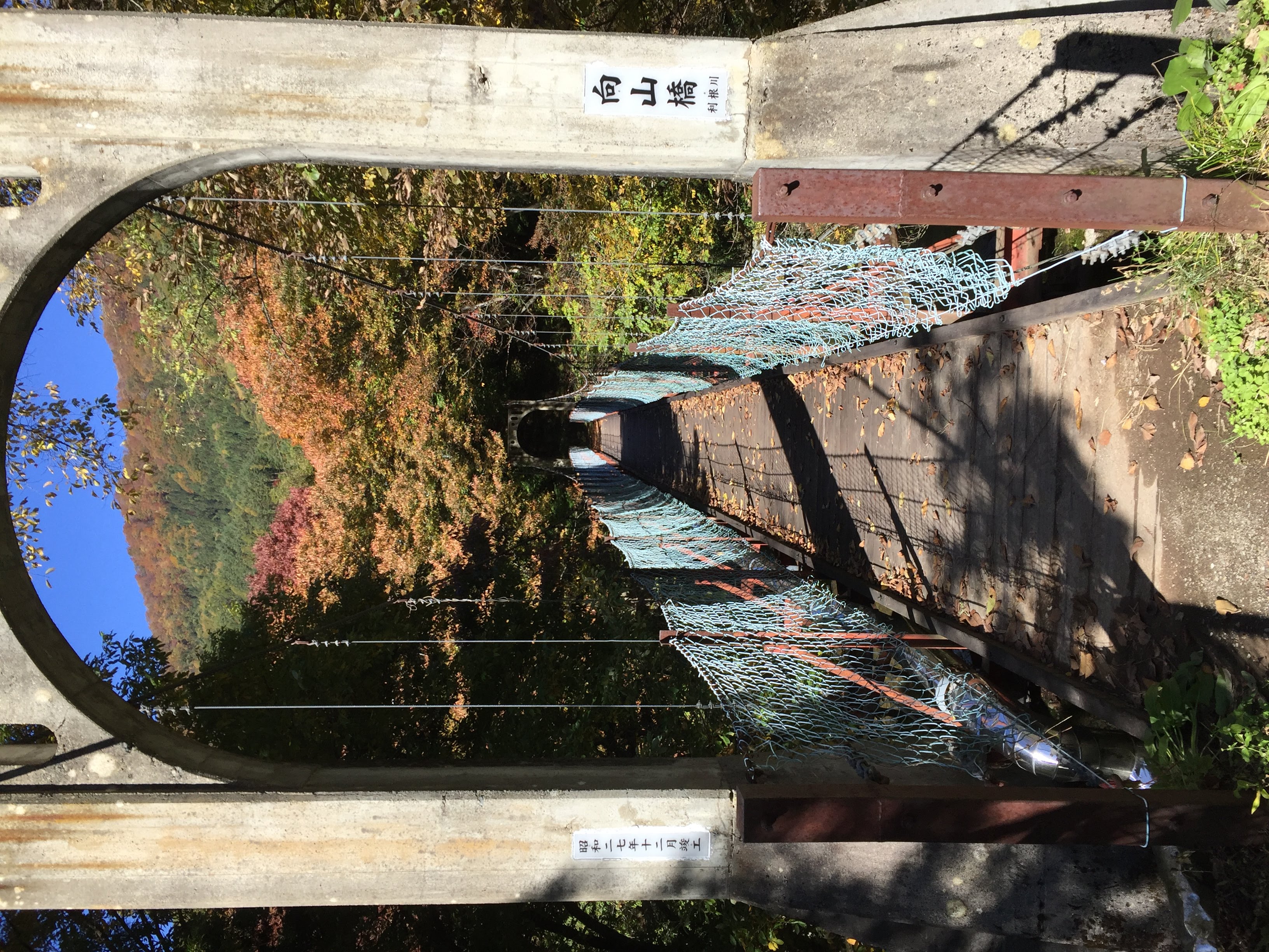 利根川の吊り橋