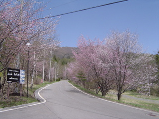 山荘わたりの入口