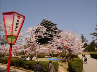春の松江城