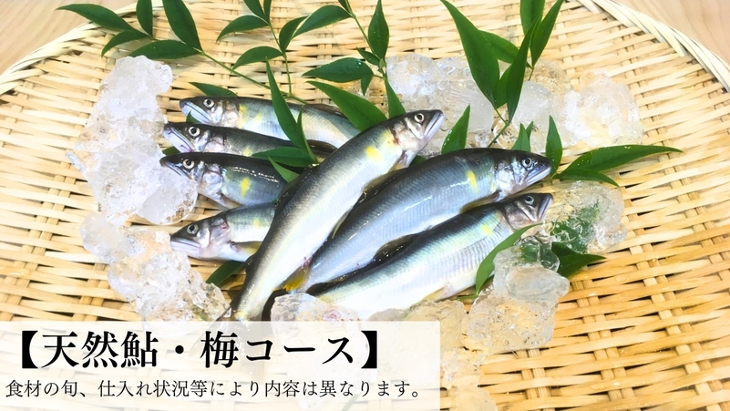 夏季【期間限定：地元天然鮎・梅コース・量控えめ（肉料理無し）】少食の方におすすめ