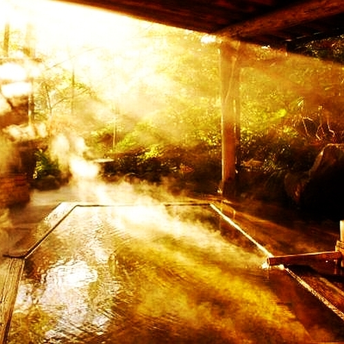 [The ultimate private open-air bath, Mori no Yu] In the morning sun, Mori no Yu is enveloped in a feeling of purification.
