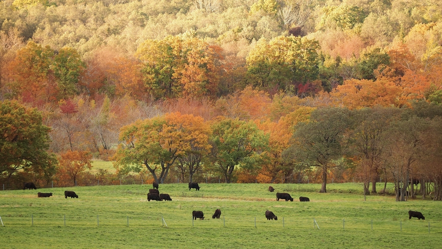 秋_鬼首 雄大な自然がひろがる鬼首の紅葉は心を癒してくれます