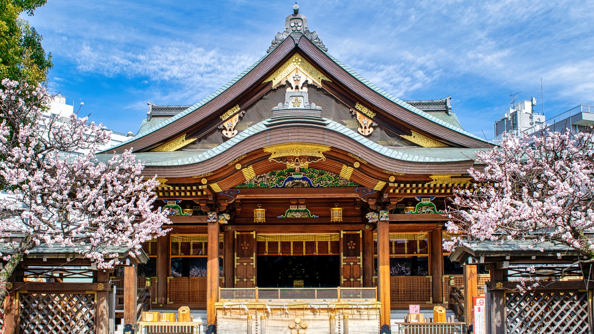 【当館から徒歩10分】湯島天満宮