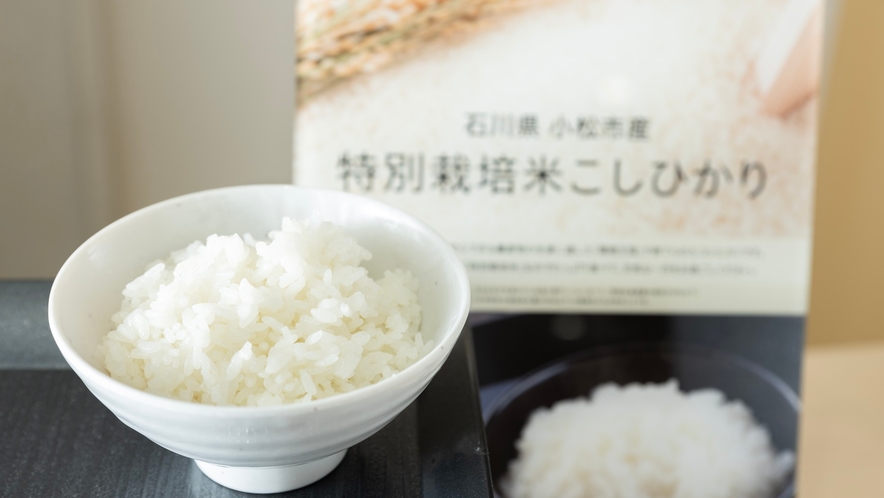【Organic】石川県小松市の環境王国で育てられた自然に優しい特別栽培米コシヒカリ