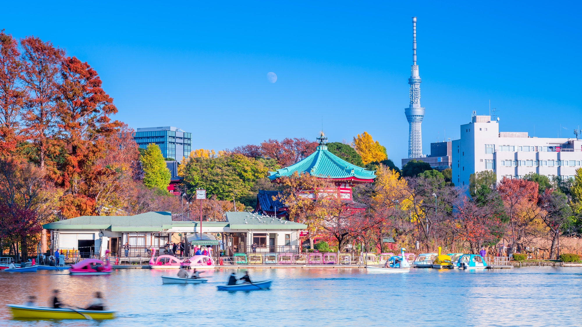 【当館から徒歩12分】上野公園