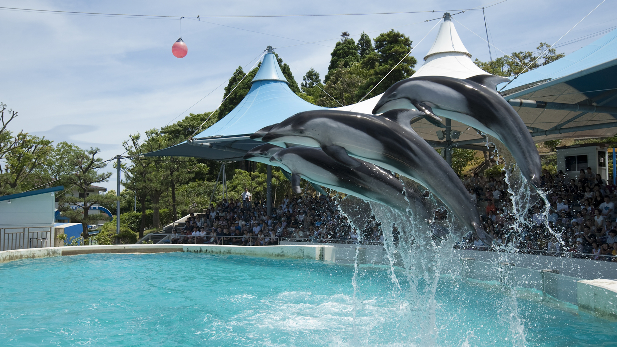 のとじま水族館