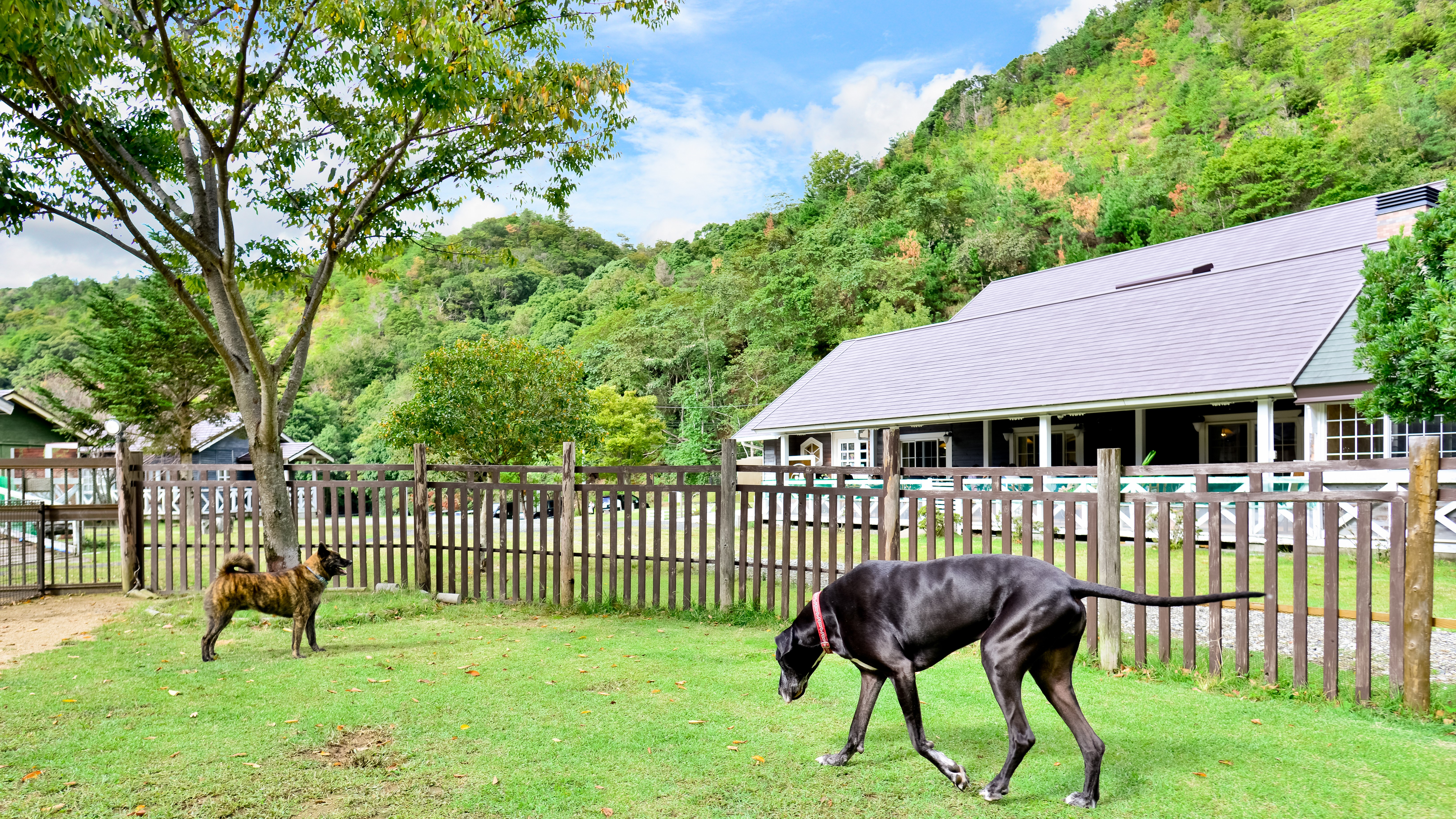 パートナーズハウスゆあさ 宿泊予約 楽天トラベル パートナーズハウスゆあさ 宿泊予約 楽天トラベル