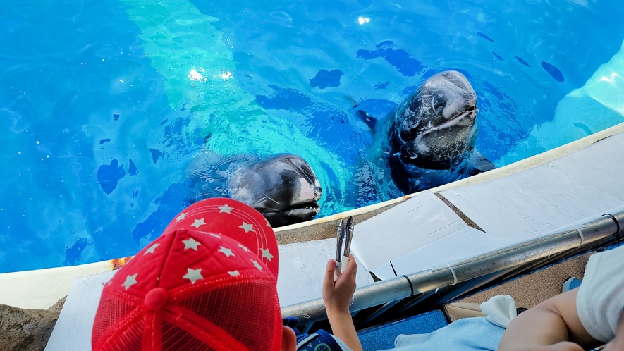 水族館「うみたまご」★お車で約20分