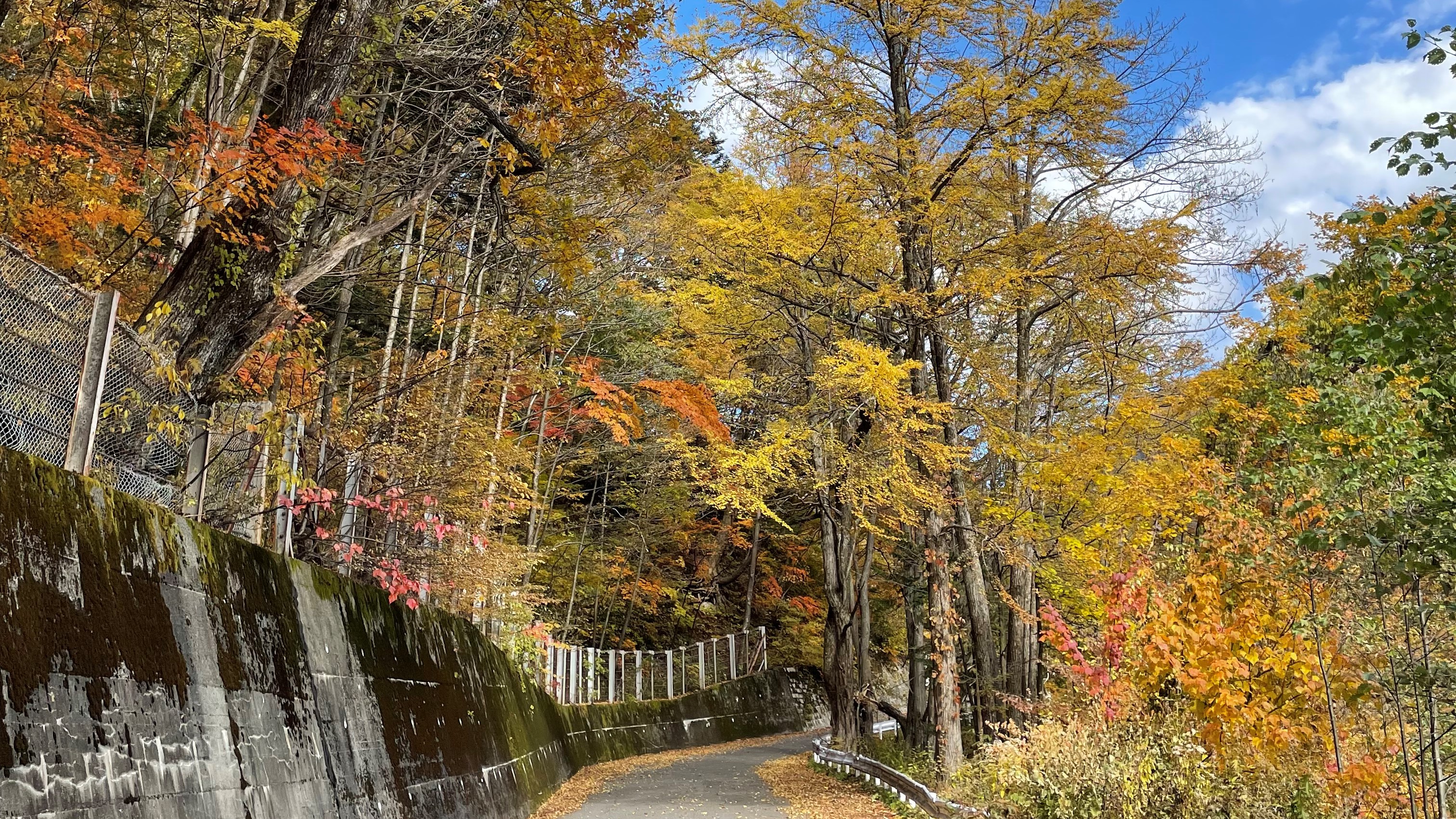 安房峠の紅葉です