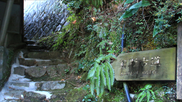 【素泊り】 日本最古の湯でリフレッシュ♪【一人旅も歓迎♪♪】