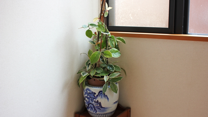 *【館内一例】館内のいろいろな場所で観葉植物を育てております♪