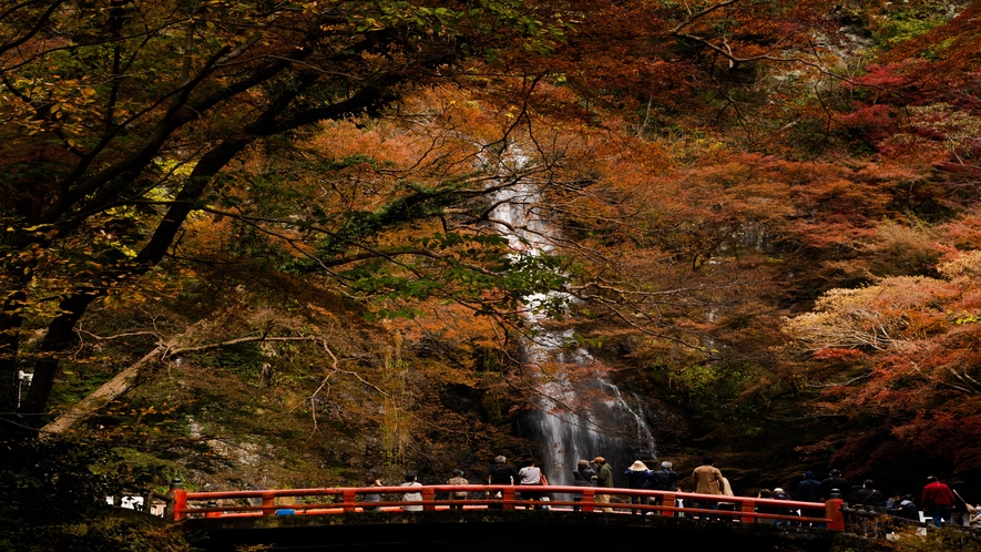 箕面大滝の紅葉