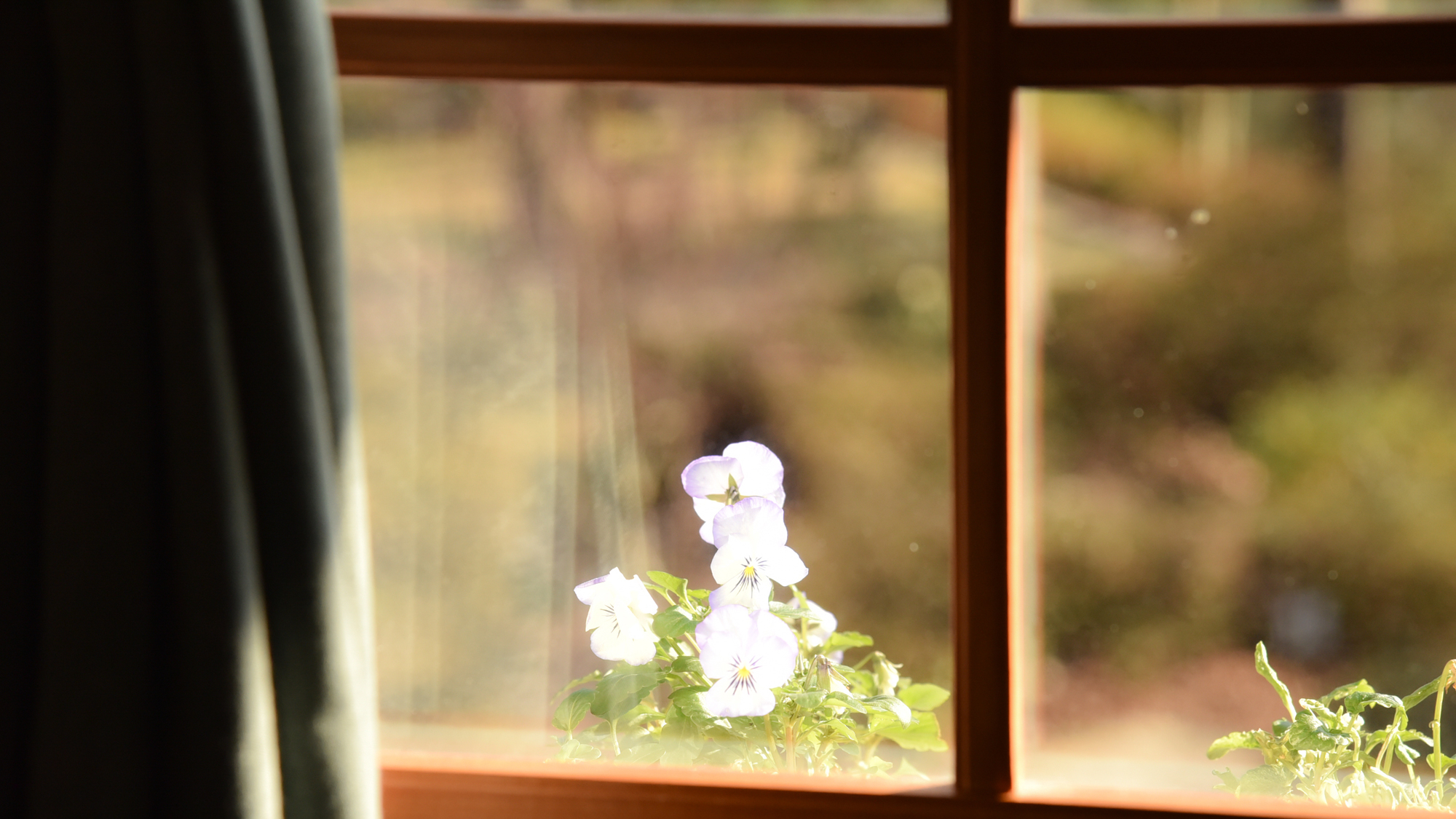  *【お部屋一例】窓からの景色