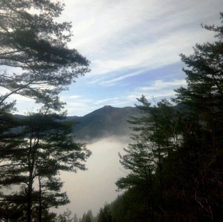 林道からの雲海