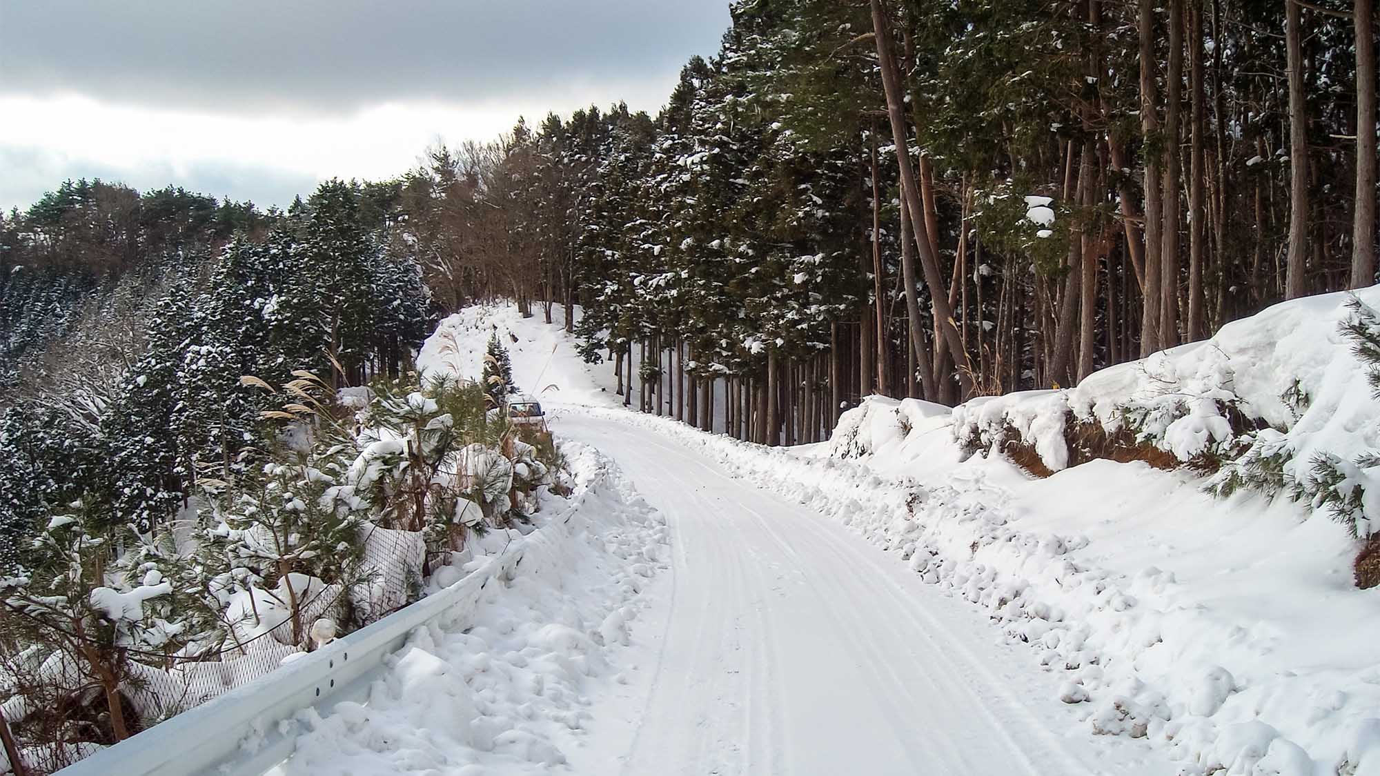 ・【風景】雪景色に染まるホテル周辺の道と木々
