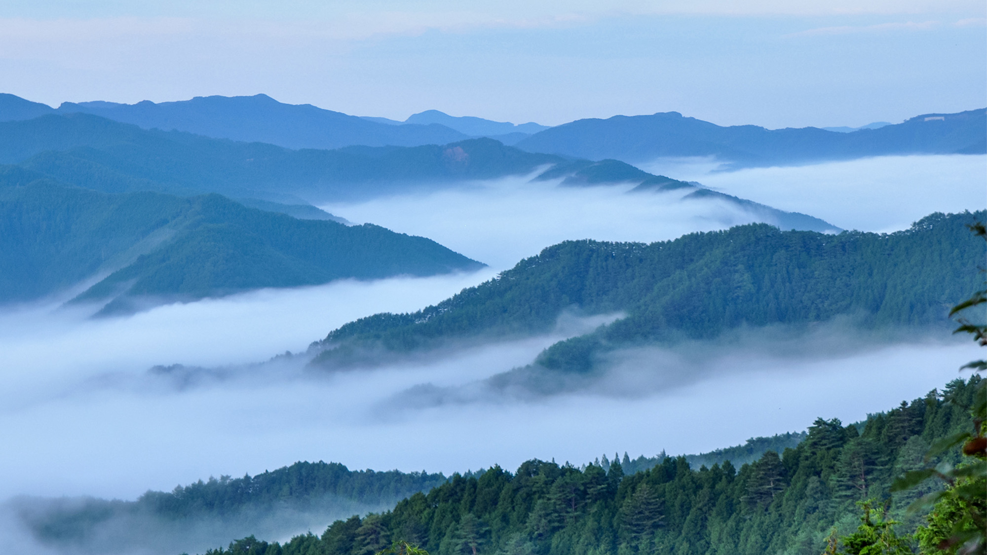 ・【雲海】標高1,260mの立里荒神社から見える雲海