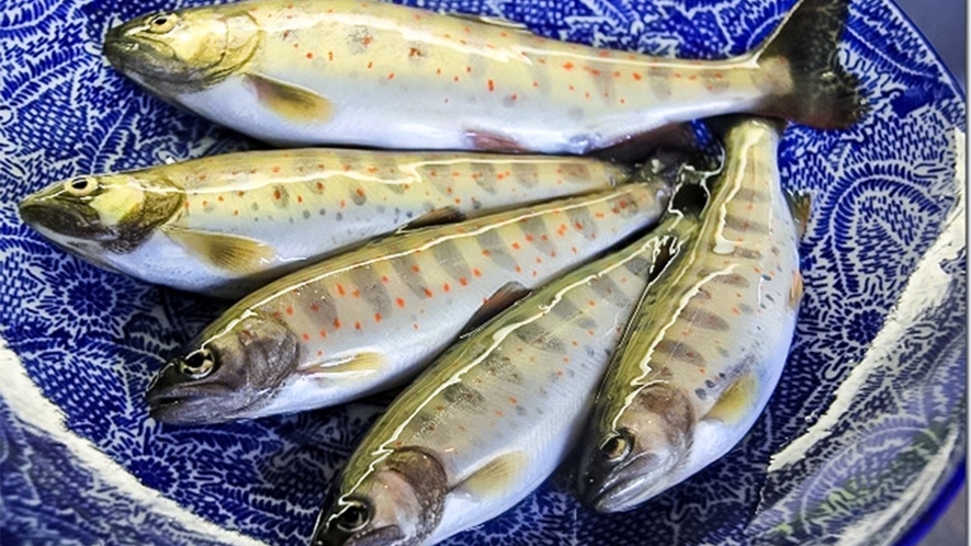 ・【料理】野迫川村自慢の、新鮮で良質な川魚アマゴを堪能できます♪