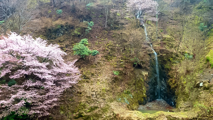 ・【風景】ホテル前には桜と小さな滝。四季折々の景色が楽しめます