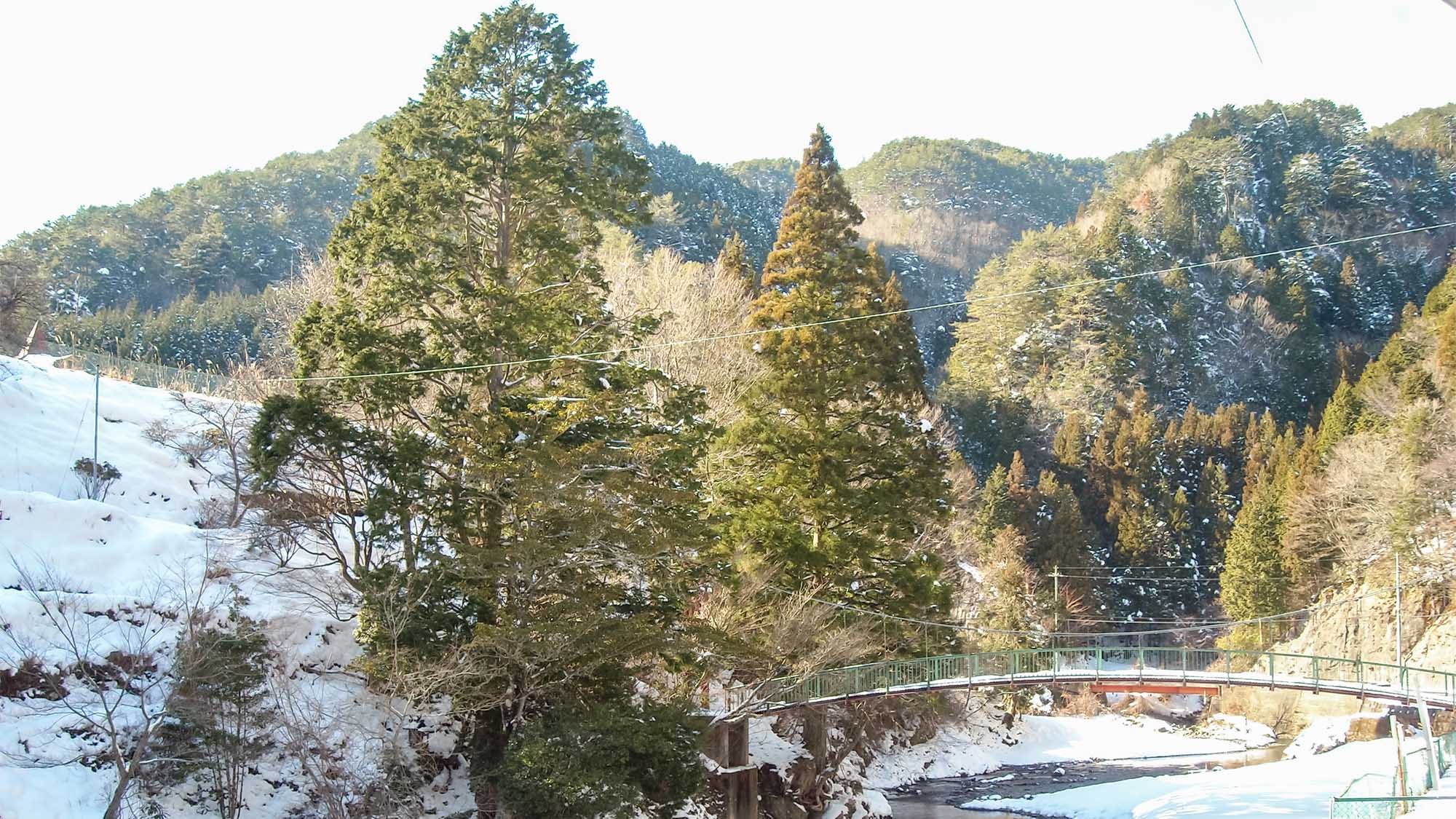 ・【風景】ホテル前に架かる長寿橋と雪景色に包まれる木々