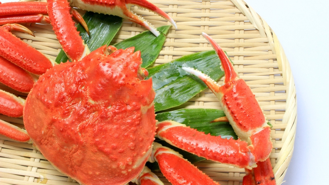 【ご夕食17：00】海の御馳走！ずわい蟹×とろける美味さ♪神戸牛しゃぶしゃぶプラン《2食付き》