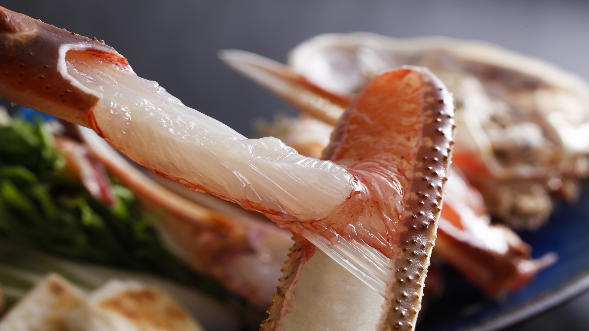 【本場タグ付き】700ｇ〜800ｇサイズ1杯使用●活松葉蟹プラン≪2食付き≫