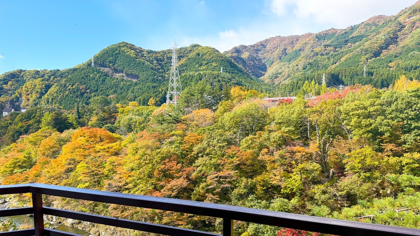 【渓谷側確約】☆お部屋でくつろぎながら鬼怒川を眺望できる☆1泊2食付バイキングプラン