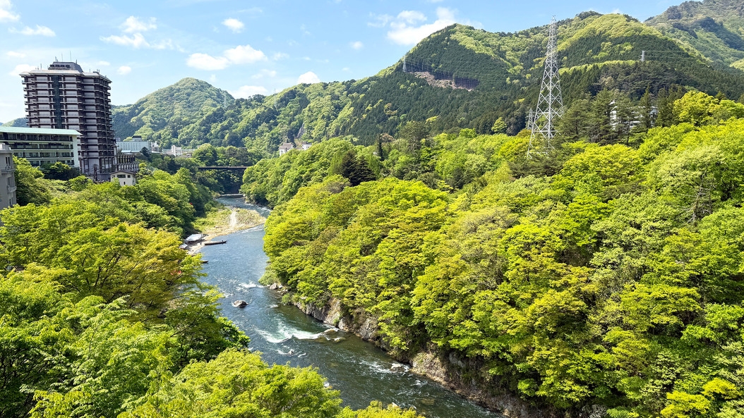 【渓谷側確約】☆お部屋でくつろぎながら鬼怒川を眺望できる☆1泊2食付バイキングプラン