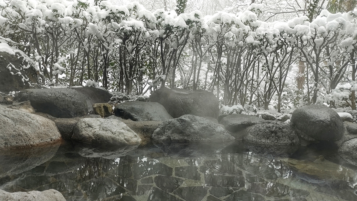 【蟹食べ放題付き】一泊二食バイキングプラン
