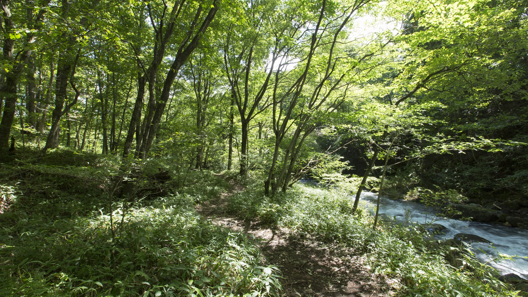 ■敷地内散策道