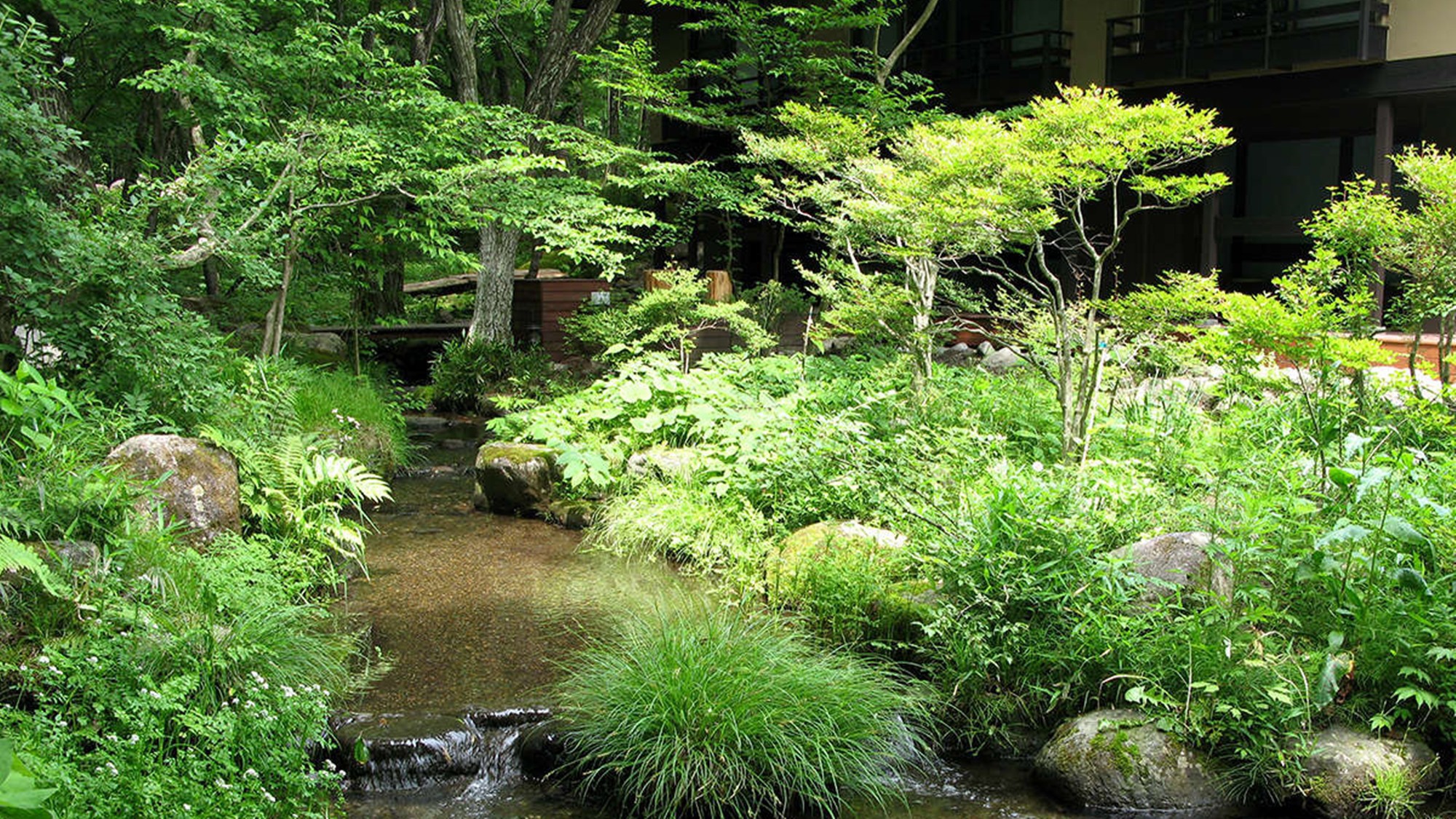 ■敷地内散策道