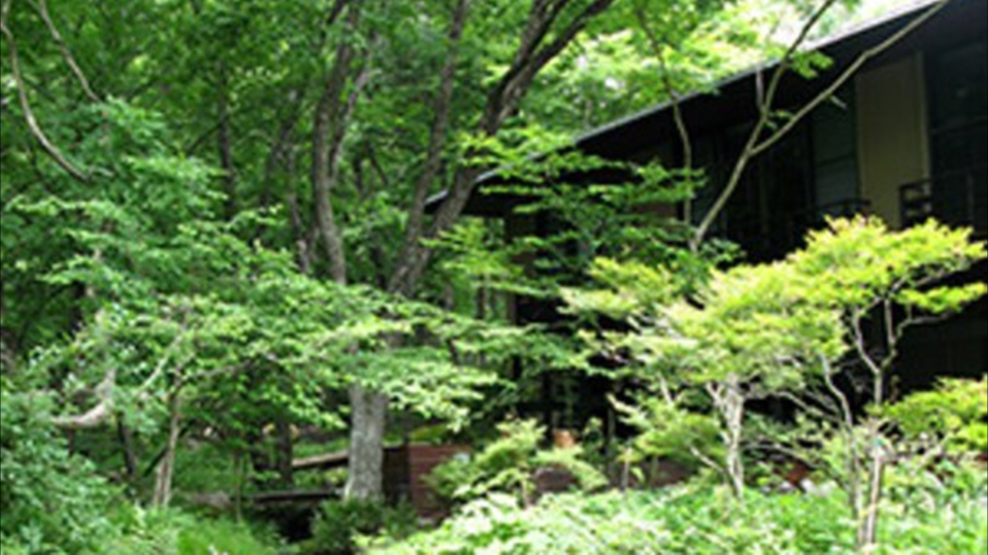 ■敷地内散策道