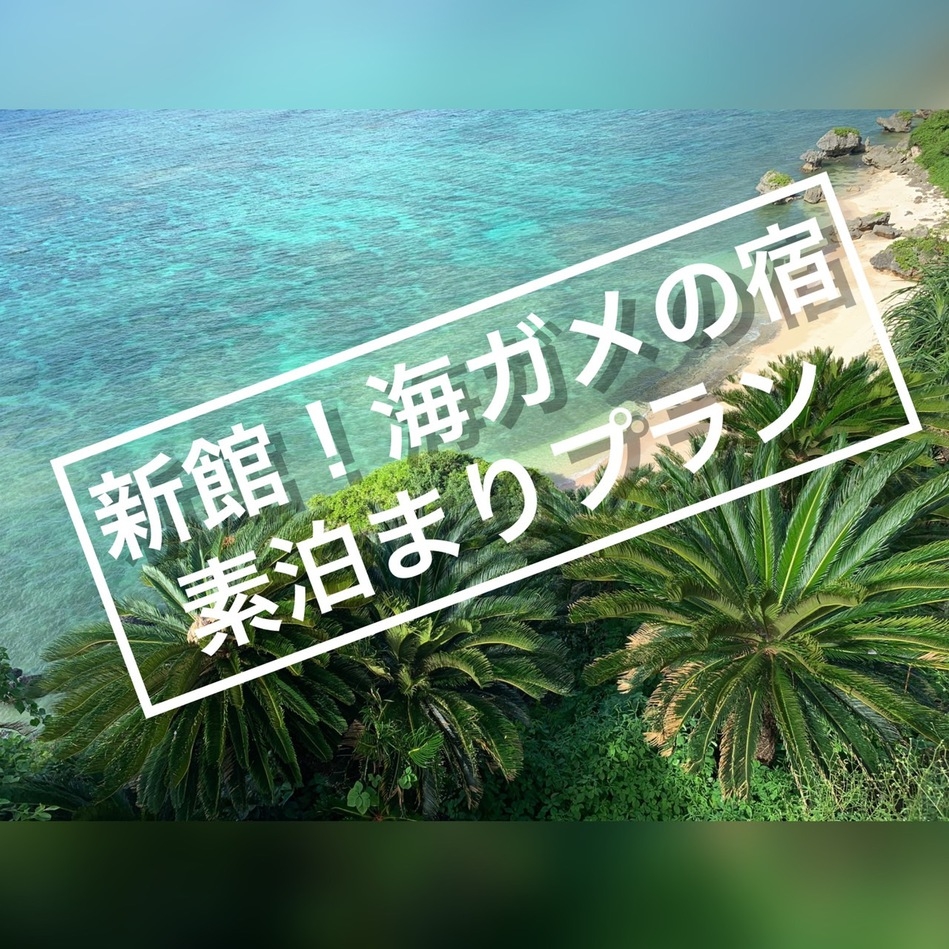 new新館海ガメの宿★ 素泊りプラン♪♪