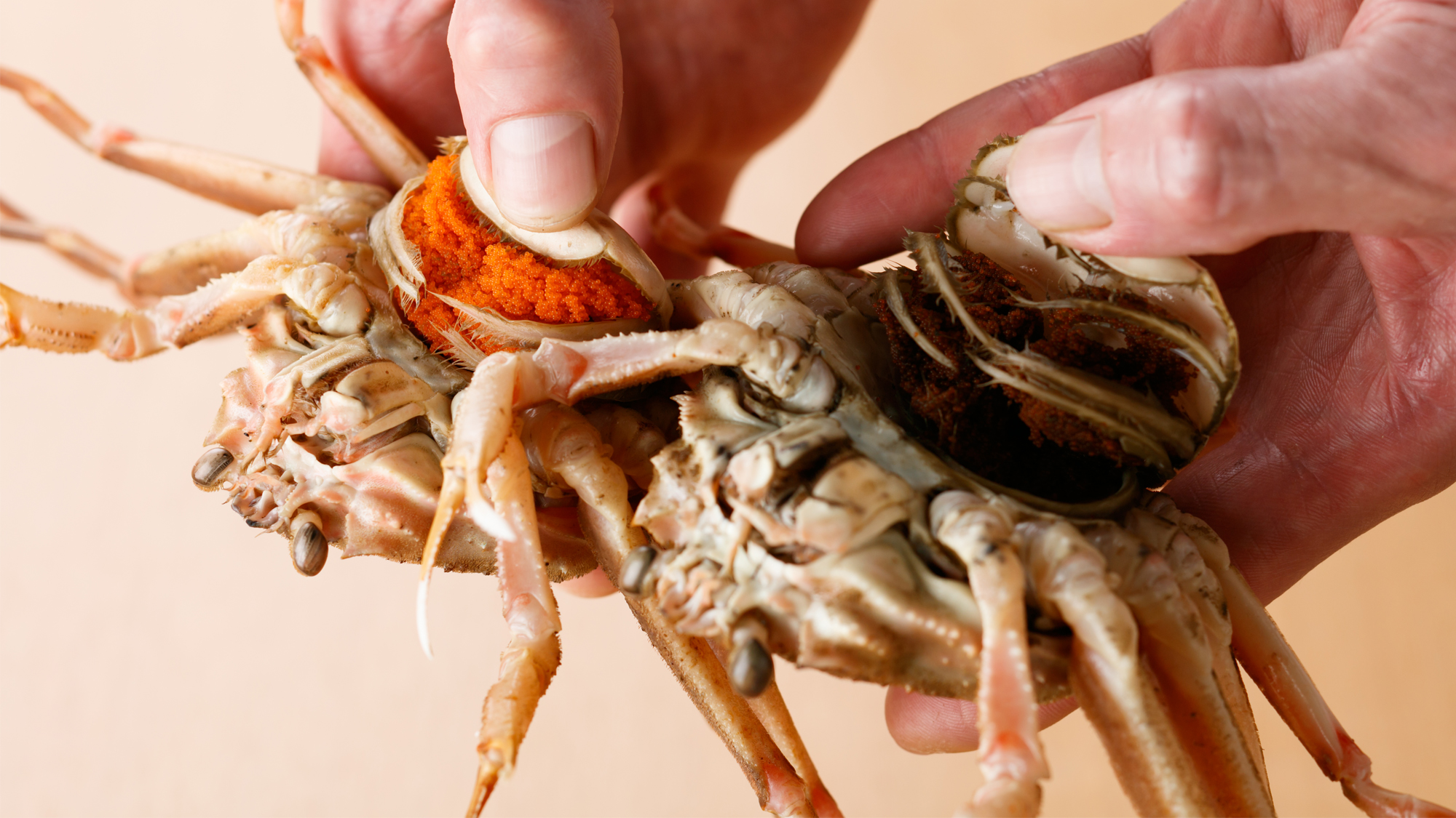 香箱蟹　11月10日～12月29日まで