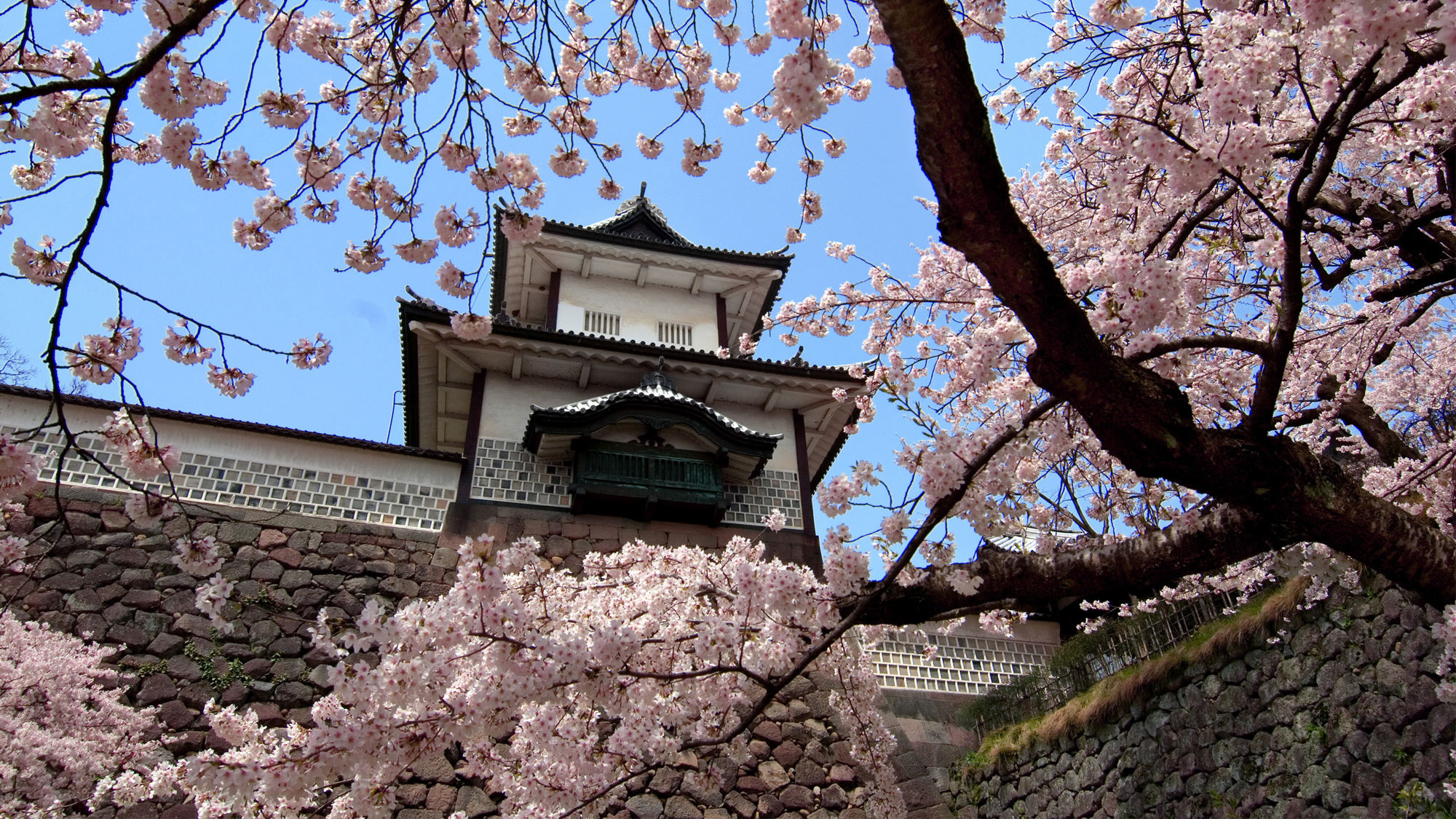 春の金沢城（桜）（車で60分）