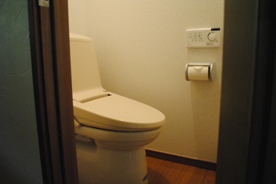 Shower toilet