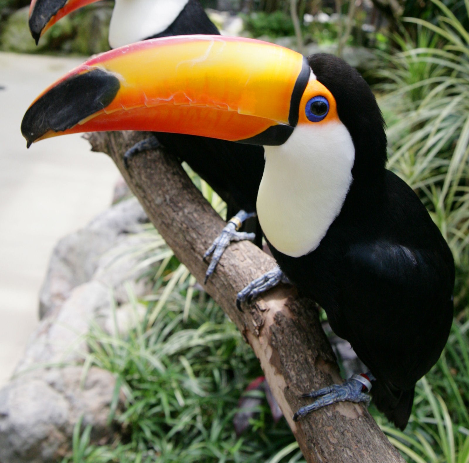 【松江市】フォーゲルパーク　～自動車で30分～