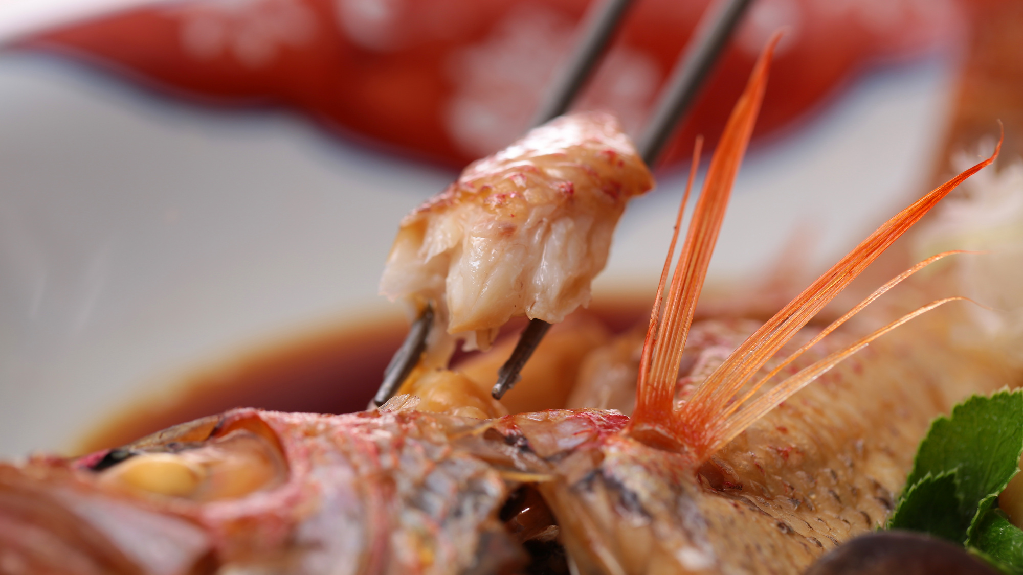 のどぐろ煮つけイメージ