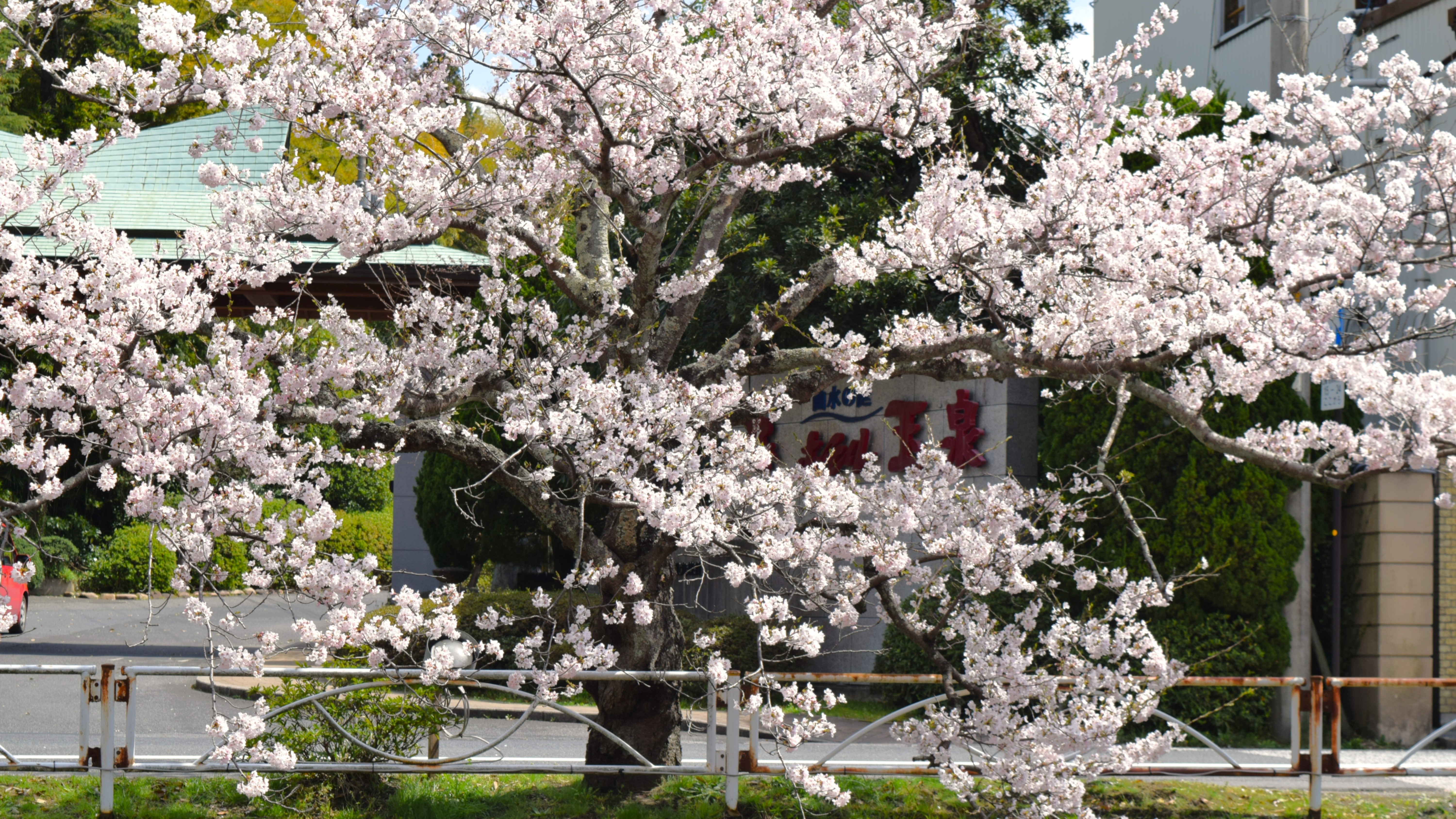 【春】ホテル玉泉　外観