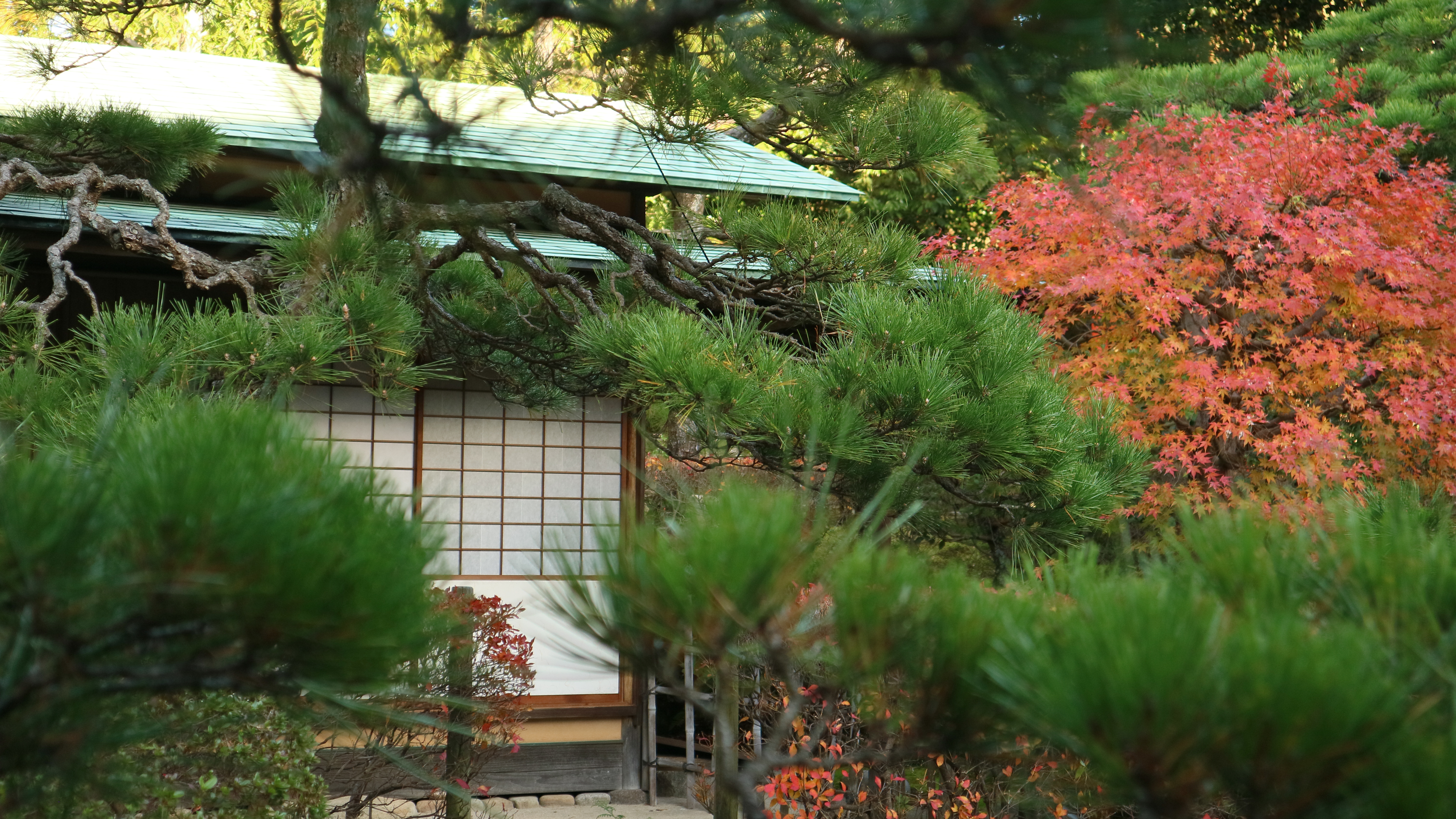 秋の日本庭園