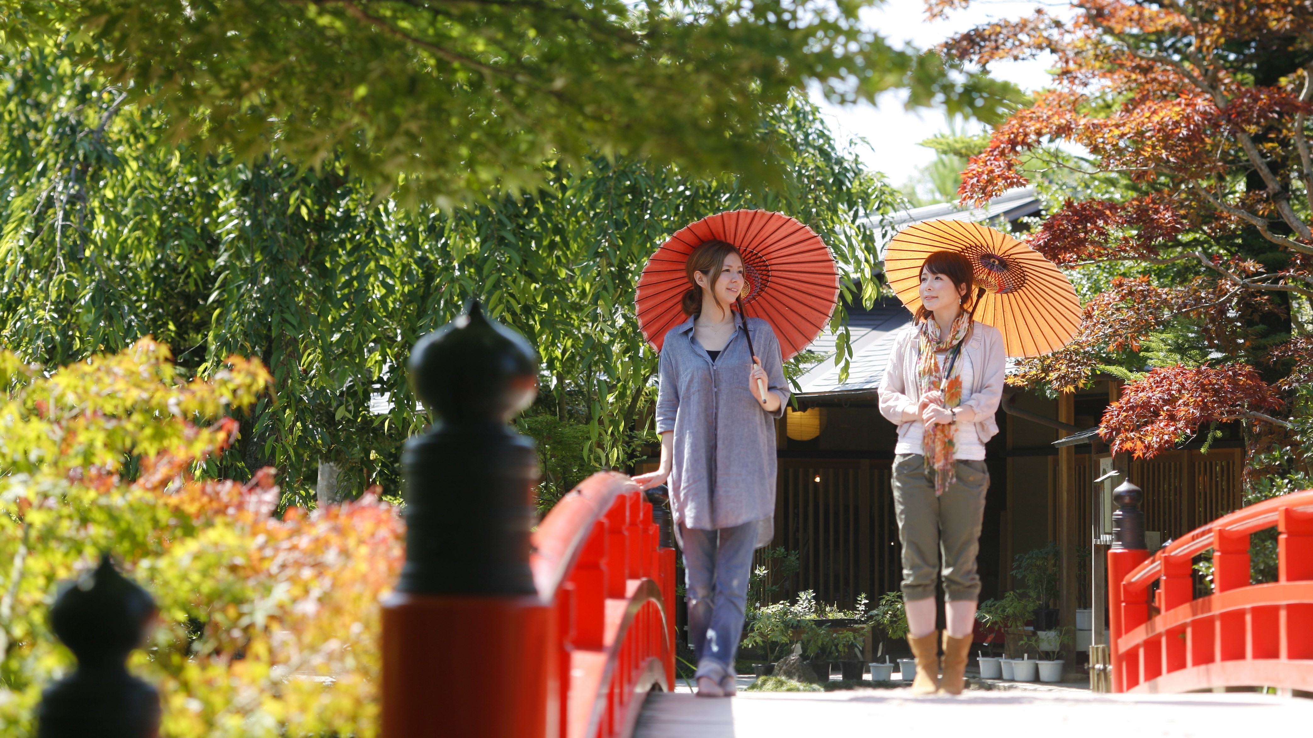 【松江市】由志園