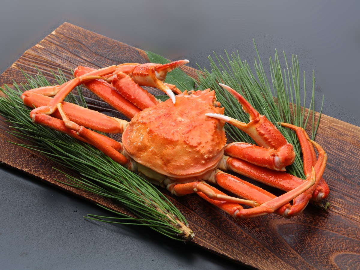 【冬季限定プラン】島根の冬といえば蟹！お得な蟹尽くしプラン！