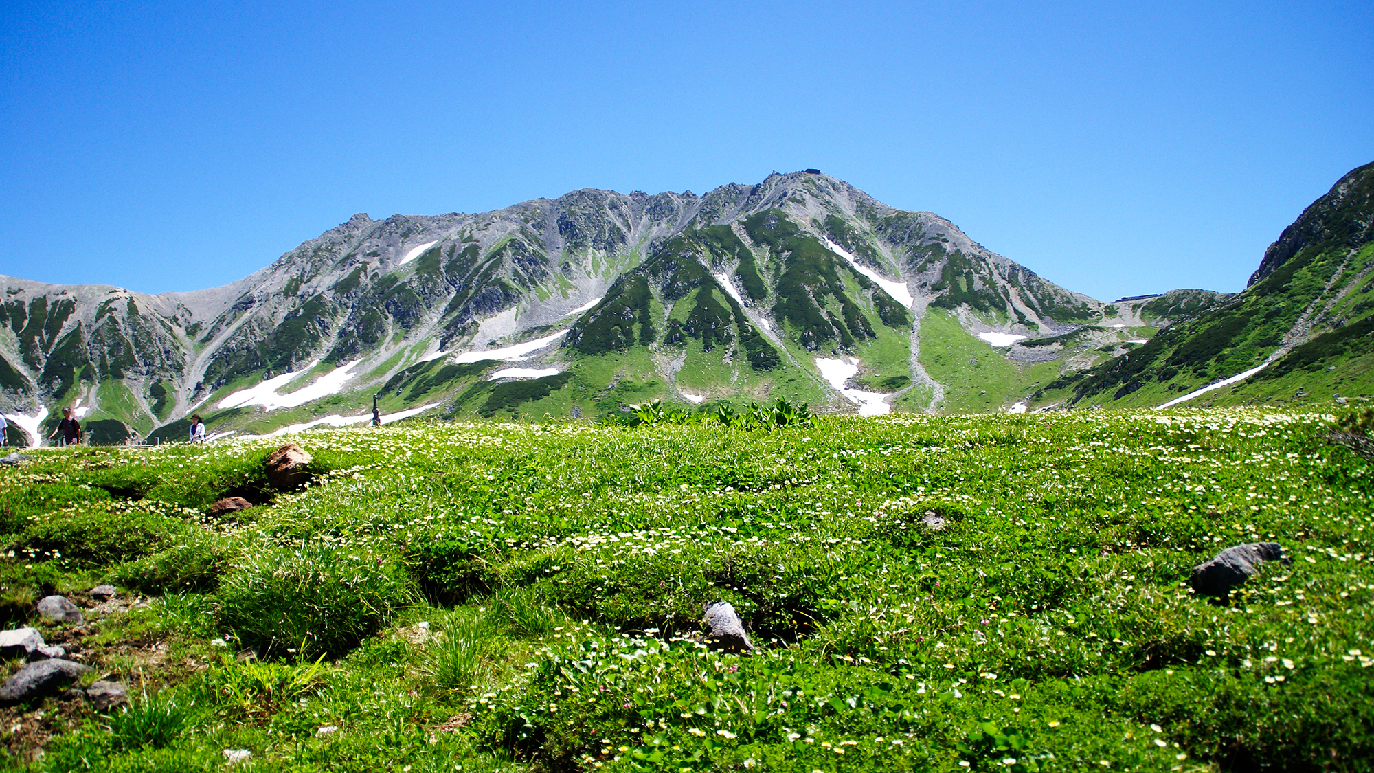 【立山黒部アルペンルート】夏の室堂平の景色。大自然の絶景と癒しのひととき。
